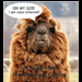Lucky Llama